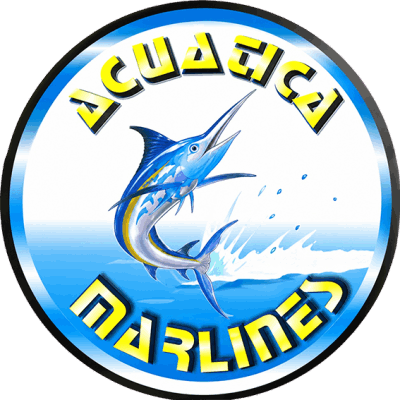Logo pequeño